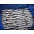 Jack Mackerel Frozen Horse Mackerel Exportateurs